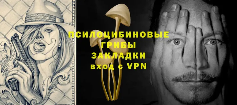 Псилоцибиновые грибы Magic Shrooms  как найти   сайты даркнета состав  Ачинск 